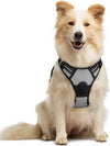 rabbitgoo Dog Harness, No Pull for Large Dogs with 2 Leash Clips, Pet Vest