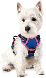 rabbitgoo Dog Harness, No Pull for Large Dogs with 2 Leash Clips, Pet Vest
