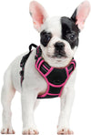 rabbitgoo Dog Harness, No Pull for Large Dogs with 2 Leash Clips, Pet Vest