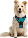 rabbitgoo Dog Harness, No Pull for Large Dogs with 2 Leash Clips, Pet Vest