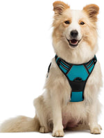 rabbitgoo Dog Harness, No Pull for Large Dogs with 2 Leash Clips, Pet Vest