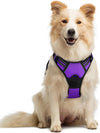 rabbitgoo Dog Harness, No Pull for Large Dogs with 2 Leash Clips, Pet Vest