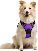 rabbitgoo Dog Harness, No Pull for Large Dogs with 2 Leash Clips, Pet Vest