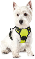 rabbitgoo Dog Harness, No Pull for Large Dogs with 2 Leash Clips, Pet Vest