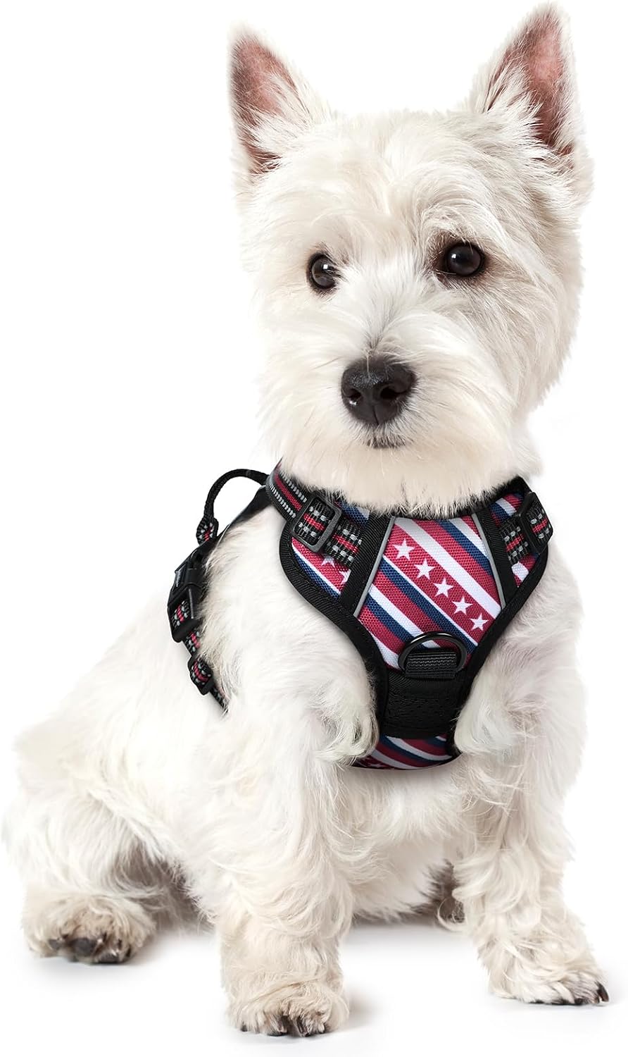 Everyday Adventure Harness