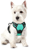 rabbitgoo Dog Harness, No Pull for Large Dogs with 2 Leash Clips, Pet Vest
