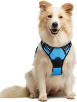 rabbitgoo Dog Harness, No Pull for Large Dogs with 2 Leash Clips, Pet Vest
