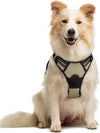 rabbitgoo Dog Harness, No Pull for Large Dogs with 2 Leash Clips, Pet Vest