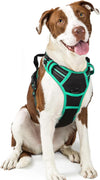 rabbitgoo Dog Harness, No Pull for Large Dogs with 2 Leash Clips, Pet Vest