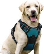 rabbitgoo Dog Harness, No Pull for Large Dogs with 2 Leash Clips, Pet Vest
