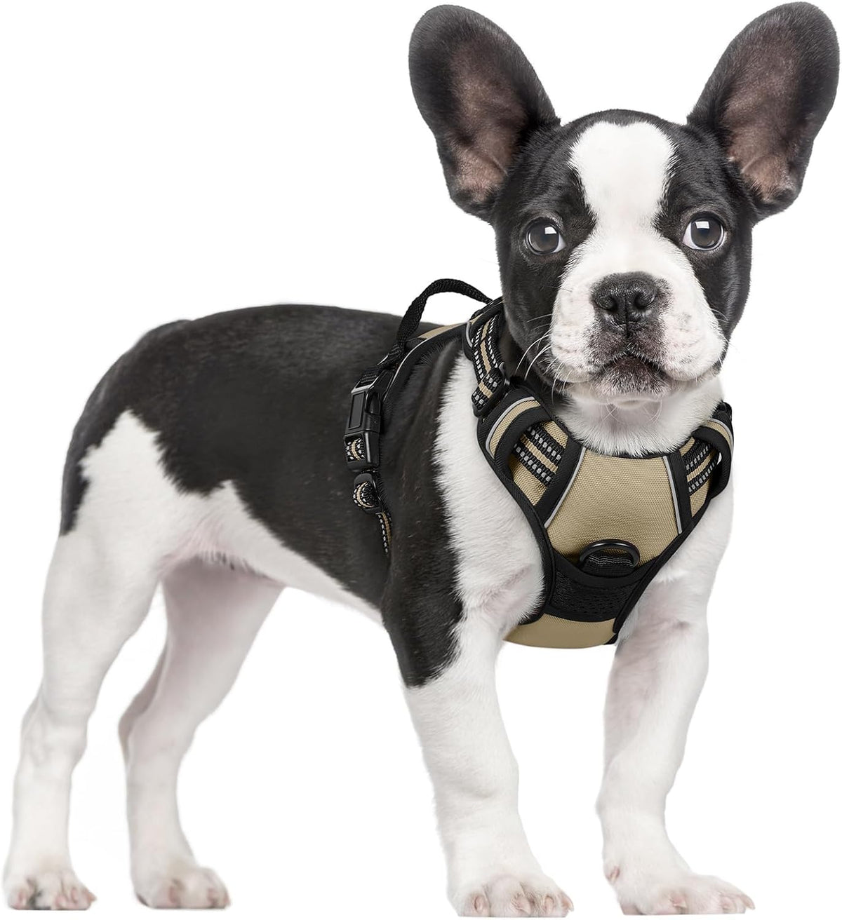 rabbitgoo Dog Harness, No Pull for Large Dogs with 2 Leash Clips, Pet Vest