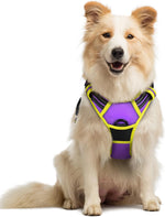 rabbitgoo Dog Harness, No Pull for Large Dogs with 2 Leash Clips, Pet Vest