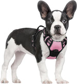 rabbitgoo Dog Harness, No Pull for Large Dogs with 2 Leash Clips, Pet Vest