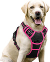 rabbitgoo Dog Harness, No Pull for Large Dogs with 2 Leash Clips, Pet Vest
