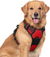 rabbitgoo Dog Harness, No Pull for Large Dogs with 2 Leash Clips, Pet Vest