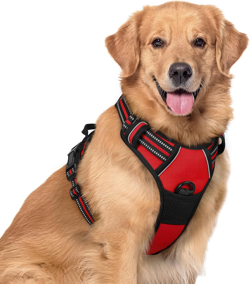 rabbitgoo Dog Harness, No Pull for Large Dogs with 2 Leash Clips, Pet Vest
