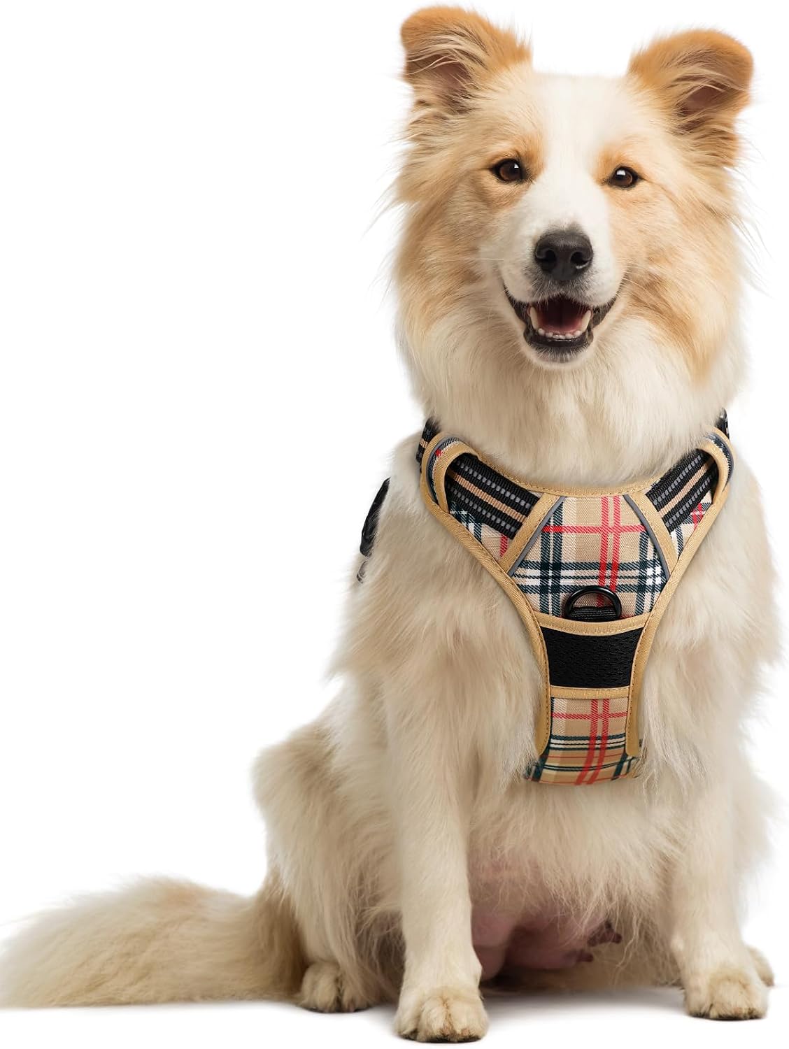 rabbitgoo Dog Harness, No Pull for Large Dogs with 2 Leash Clips, Pet Vest