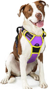 rabbitgoo Dog Harness, No Pull for Large Dogs with 2 Leash Clips, Pet Vest