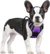 rabbitgoo Dog Harness, No Pull for Large Dogs with 2 Leash Clips, Pet Vest