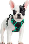 rabbitgoo Dog Harness, No Pull for Large Dogs with 2 Leash Clips, Pet Vest