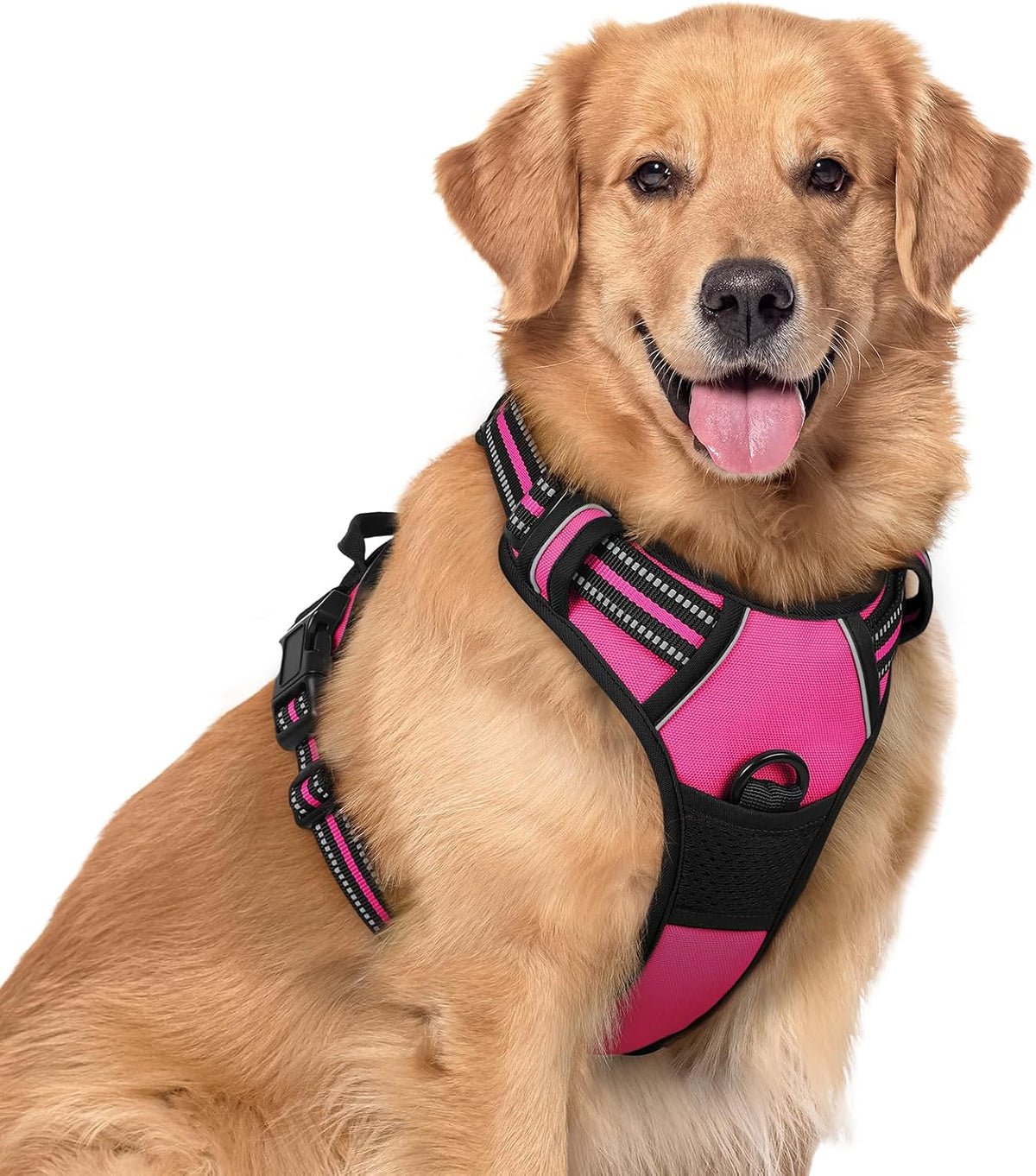 rabbitgoo Dog Harness, No Pull for Large Dogs with 2 Leash Clips, Pet Vest