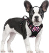 rabbitgoo Dog Harness, No Pull for Large Dogs with 2 Leash Clips, Pet Vest