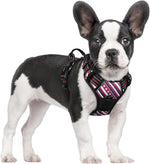 rabbitgoo Dog Harness, No Pull for Large Dogs with 2 Leash Clips, Pet Vest