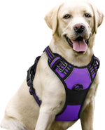 rabbitgoo Dog Harness, No Pull for Large Dogs with 2 Leash Clips, Pet Vest