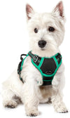 rabbitgoo Dog Harness, No Pull for Large Dogs with 2 Leash Clips, Pet Vest