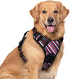 rabbitgoo Dog Harness, No Pull for Large Dogs with 2 Leash Clips, Pet Vest