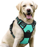 rabbitgoo Dog Harness, No Pull for Large Dogs with 2 Leash Clips, Pet Vest
