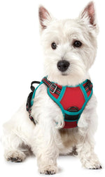 rabbitgoo Dog Harness, No Pull for Large Dogs with 2 Leash Clips, Pet Vest