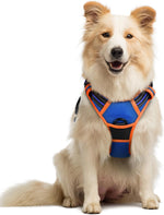 rabbitgoo Dog Harness, No Pull for Large Dogs with 2 Leash Clips, Pet Vest