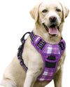 rabbitgoo Dog Harness, No Pull for Large Dogs with 2 Leash Clips, Pet Vest