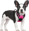 rabbitgoo Dog Harness, No Pull for Large Dogs with 2 Leash Clips, Pet Vest