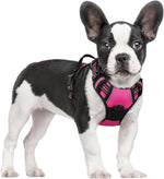 rabbitgoo Dog Harness, No Pull for Large Dogs with 2 Leash Clips, Pet Vest
