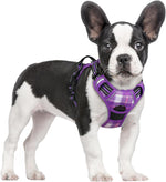 rabbitgoo Dog Harness, No Pull for Large Dogs with 2 Leash Clips, Pet Vest