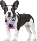 rabbitgoo Dog Harness, No Pull for Large Dogs with 2 Leash Clips, Pet Vest