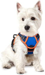 rabbitgoo Dog Harness, No Pull for Large Dogs with 2 Leash Clips, Pet Vest