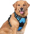 rabbitgoo Dog Harness, No Pull for Large Dogs with 2 Leash Clips, Pet Vest