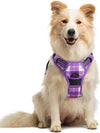 rabbitgoo Dog Harness, No Pull for Large Dogs with 2 Leash Clips, Pet Vest