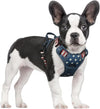 rabbitgoo Dog Harness, No Pull for Large Dogs with 2 Leash Clips, Pet Vest