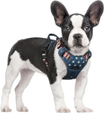 rabbitgoo Dog Harness, No Pull for Large Dogs with 2 Leash Clips, Pet Vest