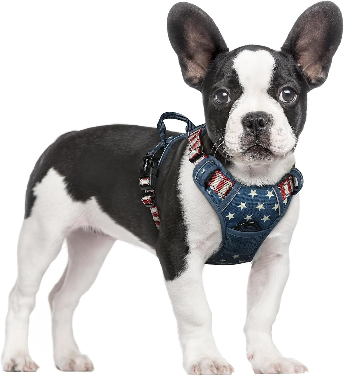 rabbitgoo Dog Harness, No Pull for Large Dogs with 2 Leash Clips, Pet Vest