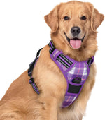 rabbitgoo Dog Harness, No Pull for Large Dogs with 2 Leash Clips, Pet Vest