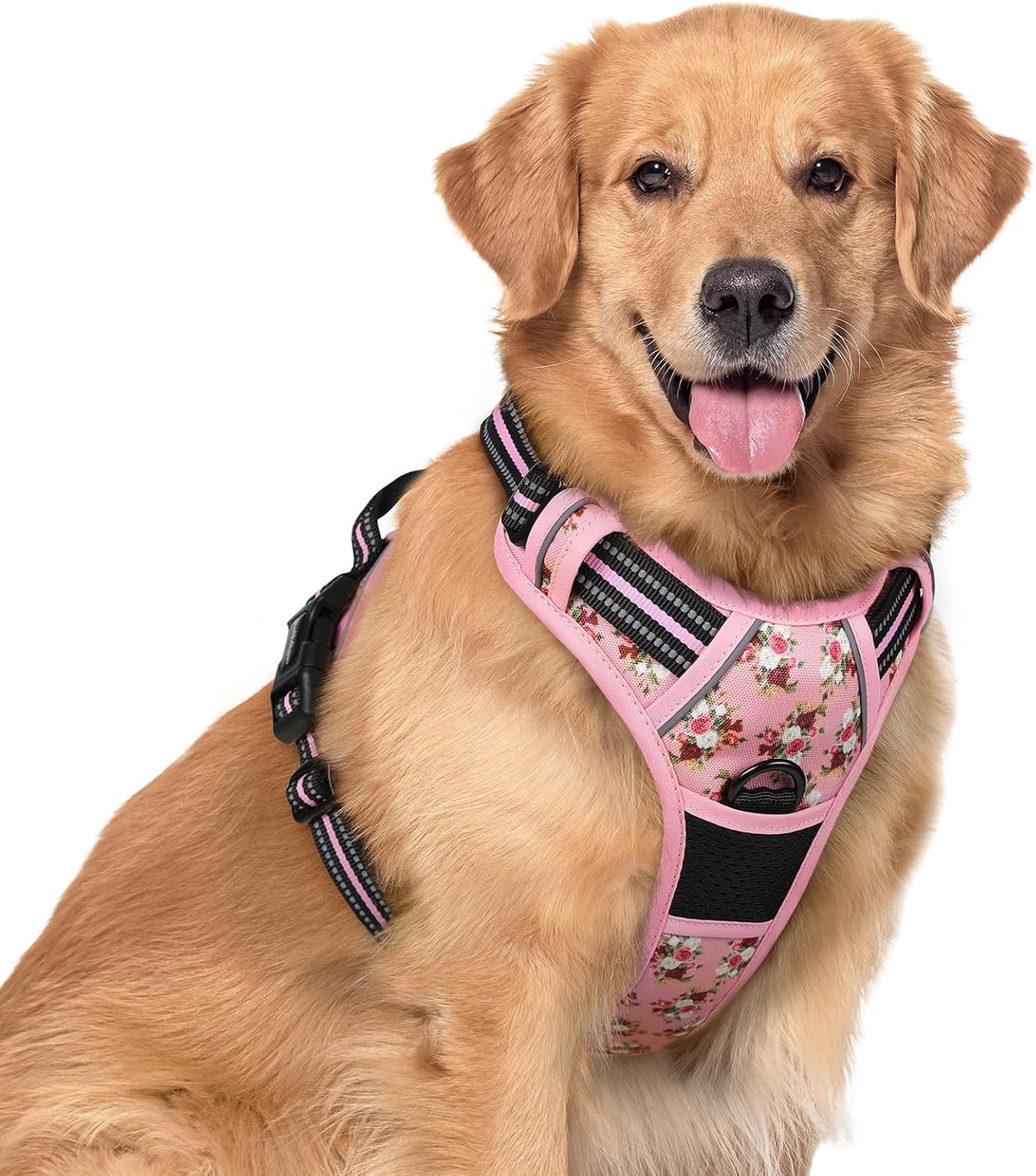 rabbitgoo Dog Harness, No Pull for Large Dogs with 2 Leash Clips, Pet Vest