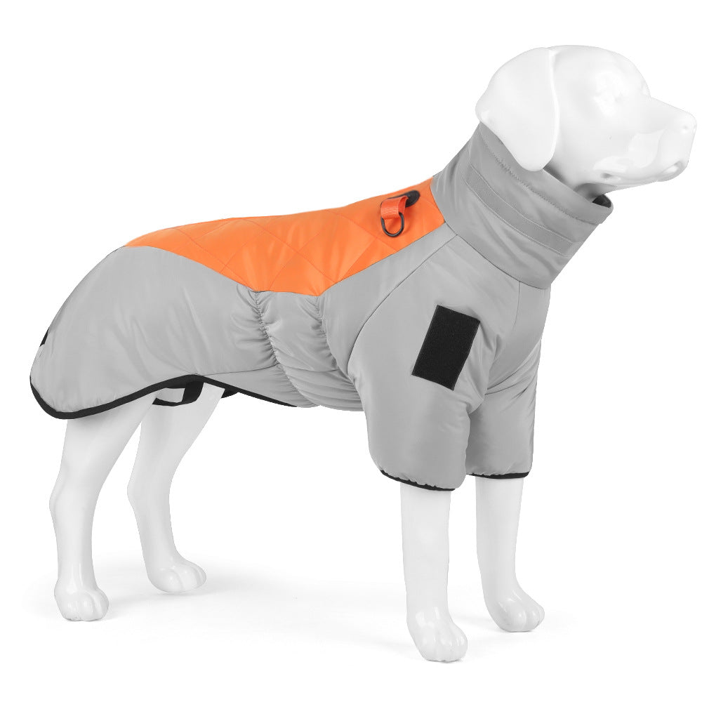Dog wearing a gray and orange winter coat on a white background