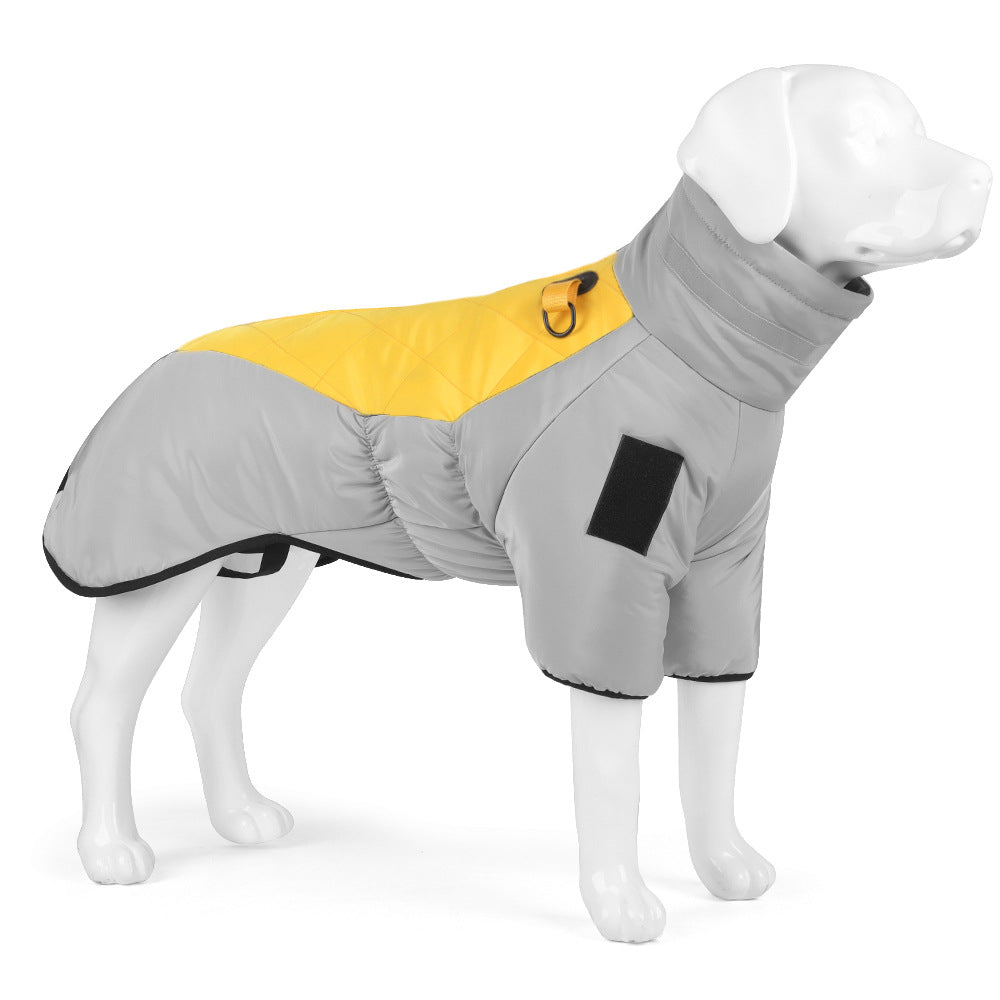 Dog wearing a gray and yellow winter coat on a white background