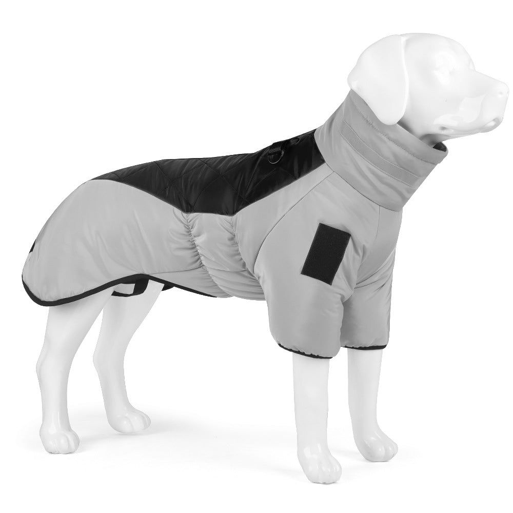 Dog wearing a gray and black winter coat on a white background