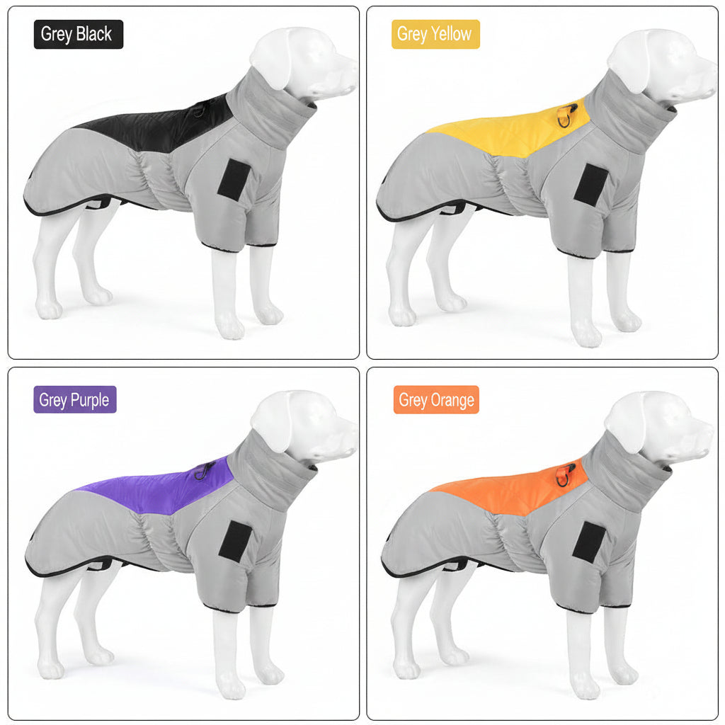 Dog wearing gray winter coats with different color accents on a white background